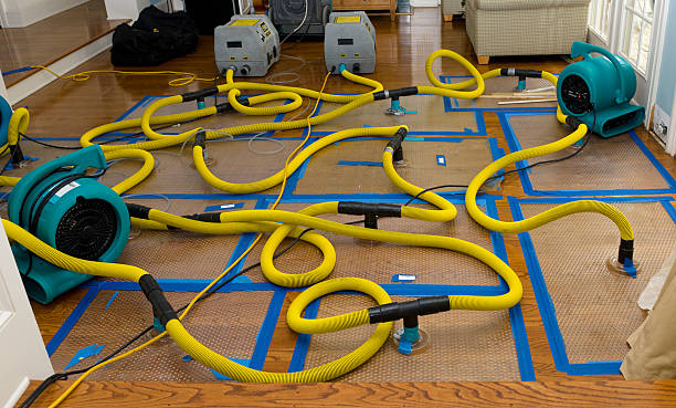 Professional Basement Flood Cleanup technician working in Bowdoinham, ME